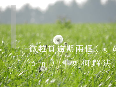 微粒貸逾期兩個(gè)月未還，后果嚴(yán)重，如何解決？